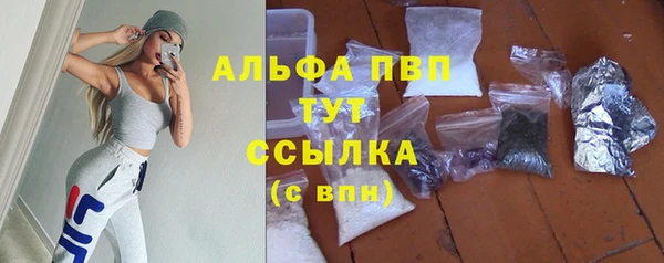 СК Покров