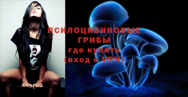 мяу мяу мука Алзамай