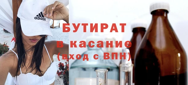 гашик Алексин