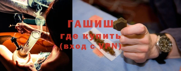 гашик Алексин