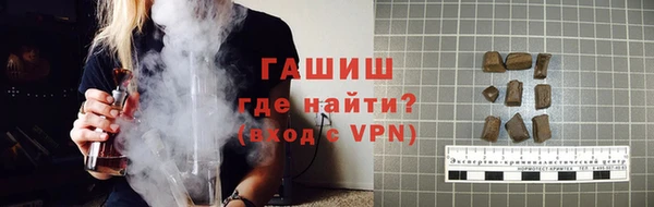 гашик Алексин
