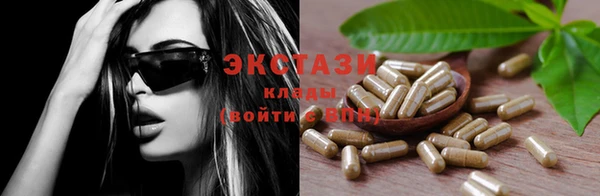 гашик Алексин
