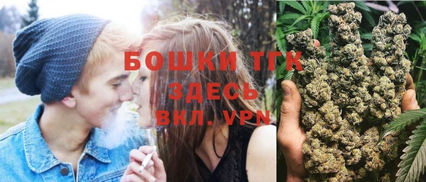 гашик Алексин