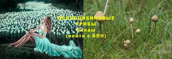 ECSTASY Алексеевка