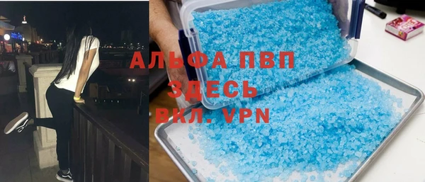 гашик Алексин