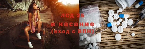 гашик Алексин