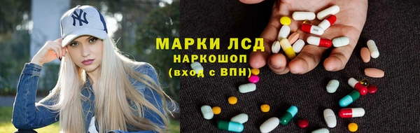 гашик Алексин