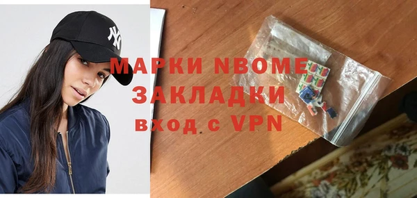 гашик Алексин